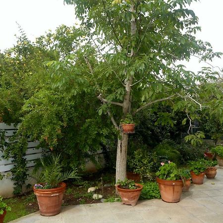 Sunny Garden Studio Hotel Nicosia Exterior photo